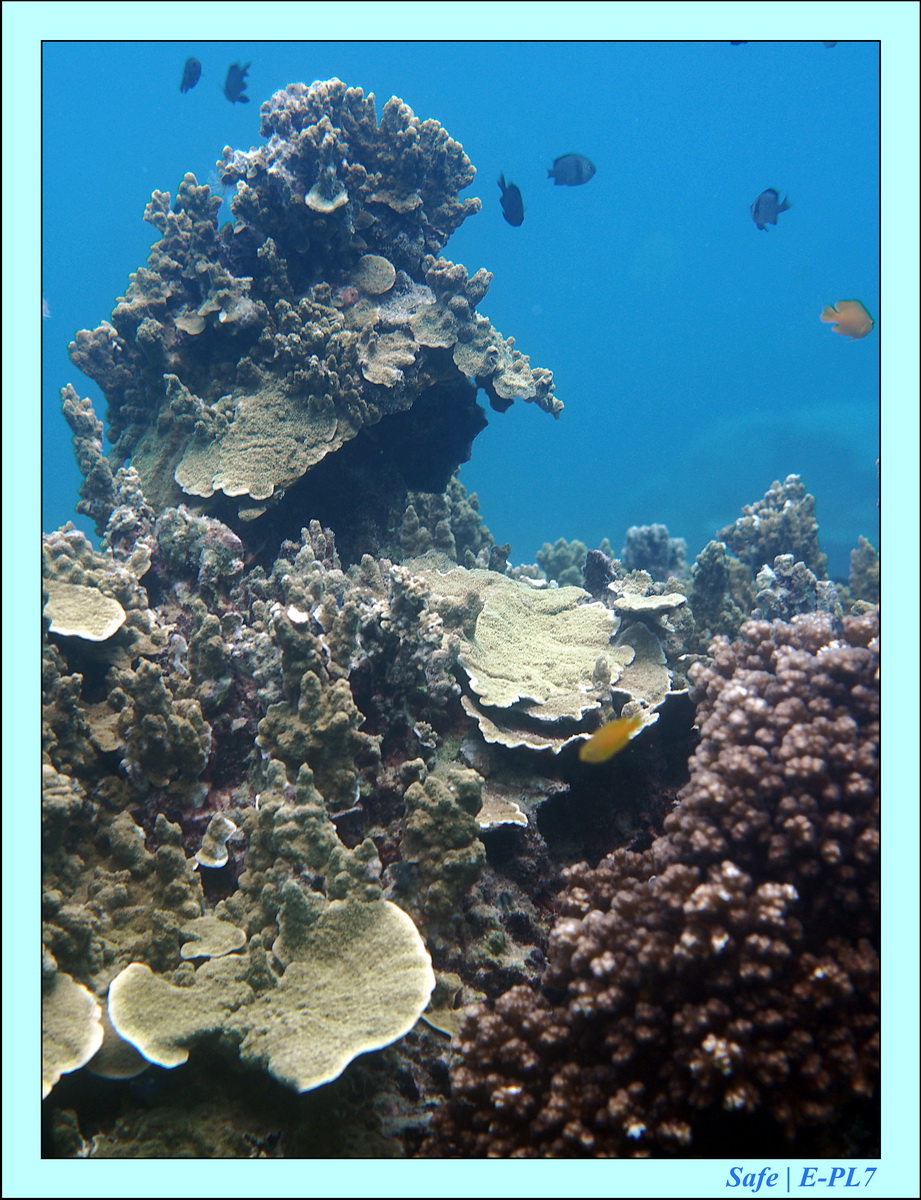 2016 - 07 - Leng Tengah - 052